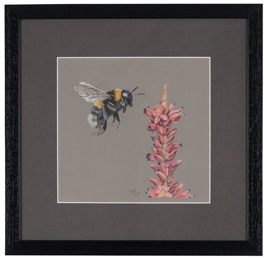 Original "Bumble Bee" Pencil Drawing