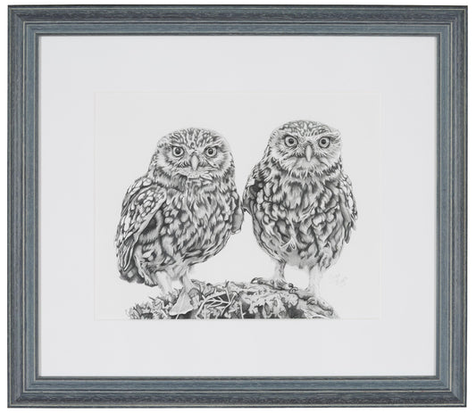 Original "Indignant" Pencil Drawing