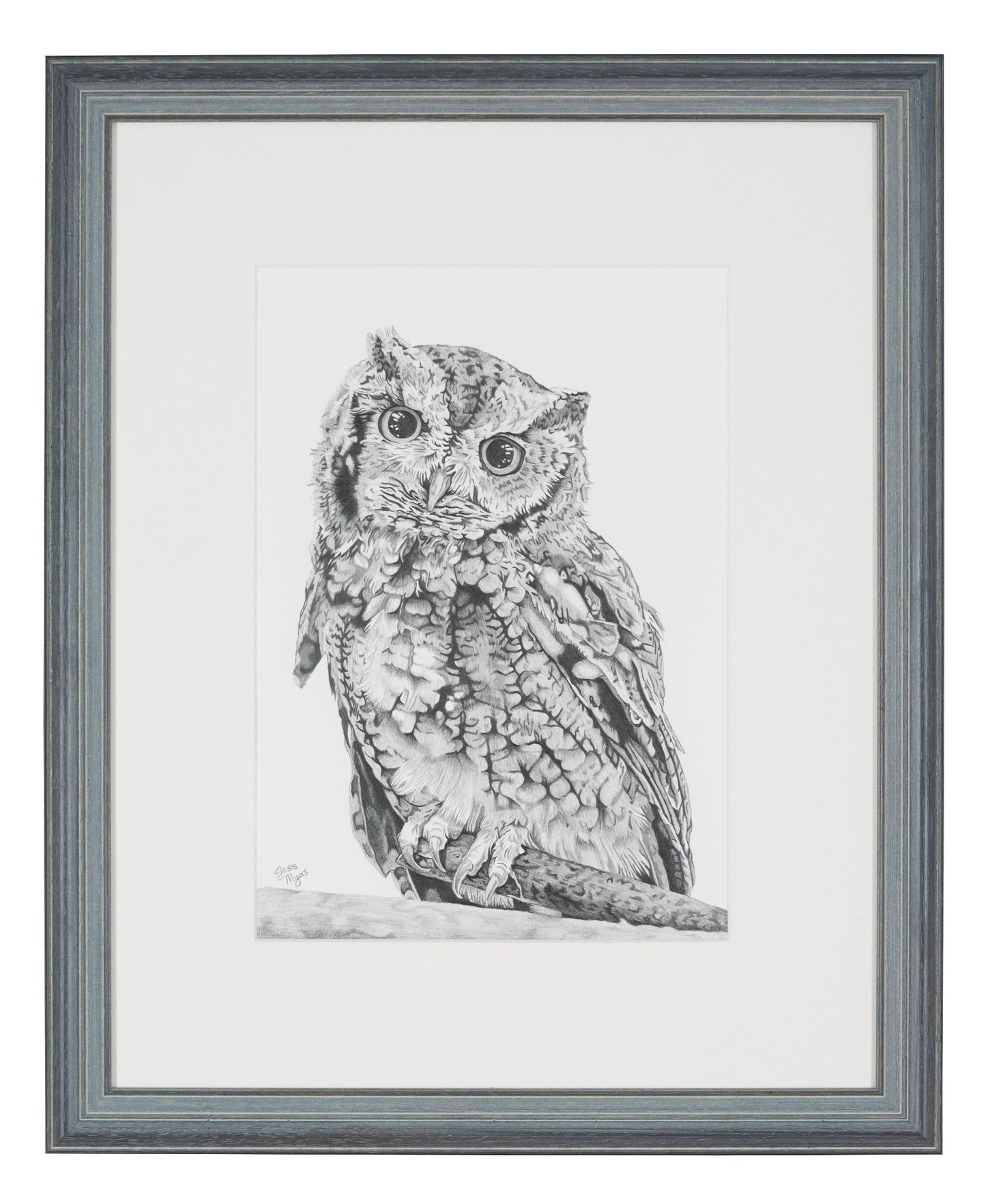 Original "Ruffled Feathers" Pencil Drawings
