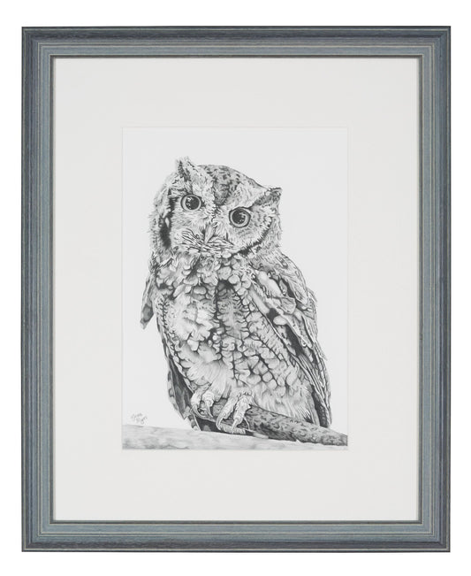 Original "Ruffled Feathers" Pencil Drawings
