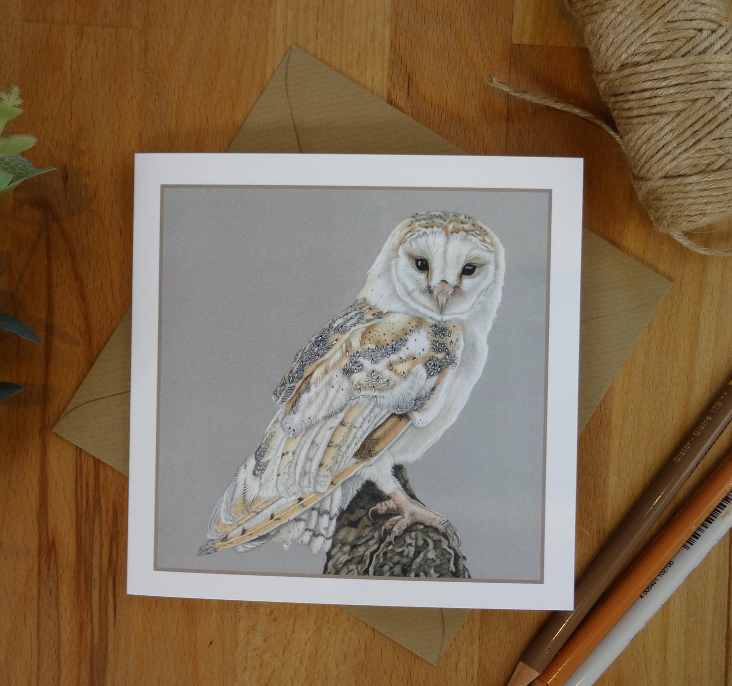 Barn Owl Card