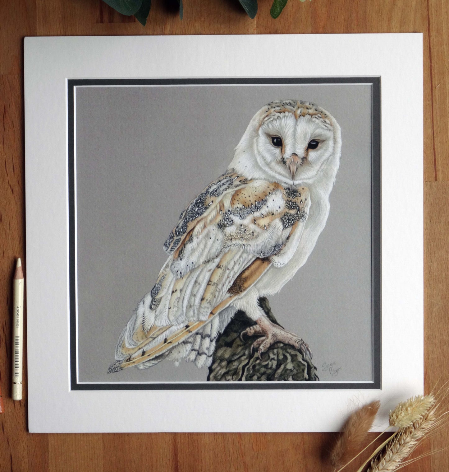 Large "Barn Owl" Giclée Print