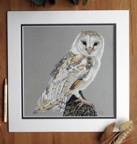 Large "Barn Owl" Giclée Print