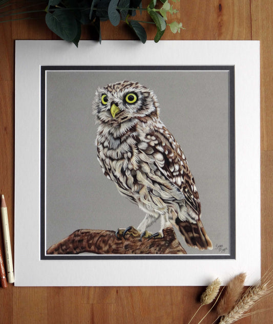 Large "Little Owl" Giclée Print