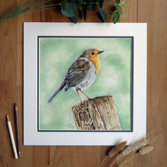 Large "Robin" Giclée Print