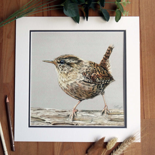 Large "Jenny Wren" Giclée Print