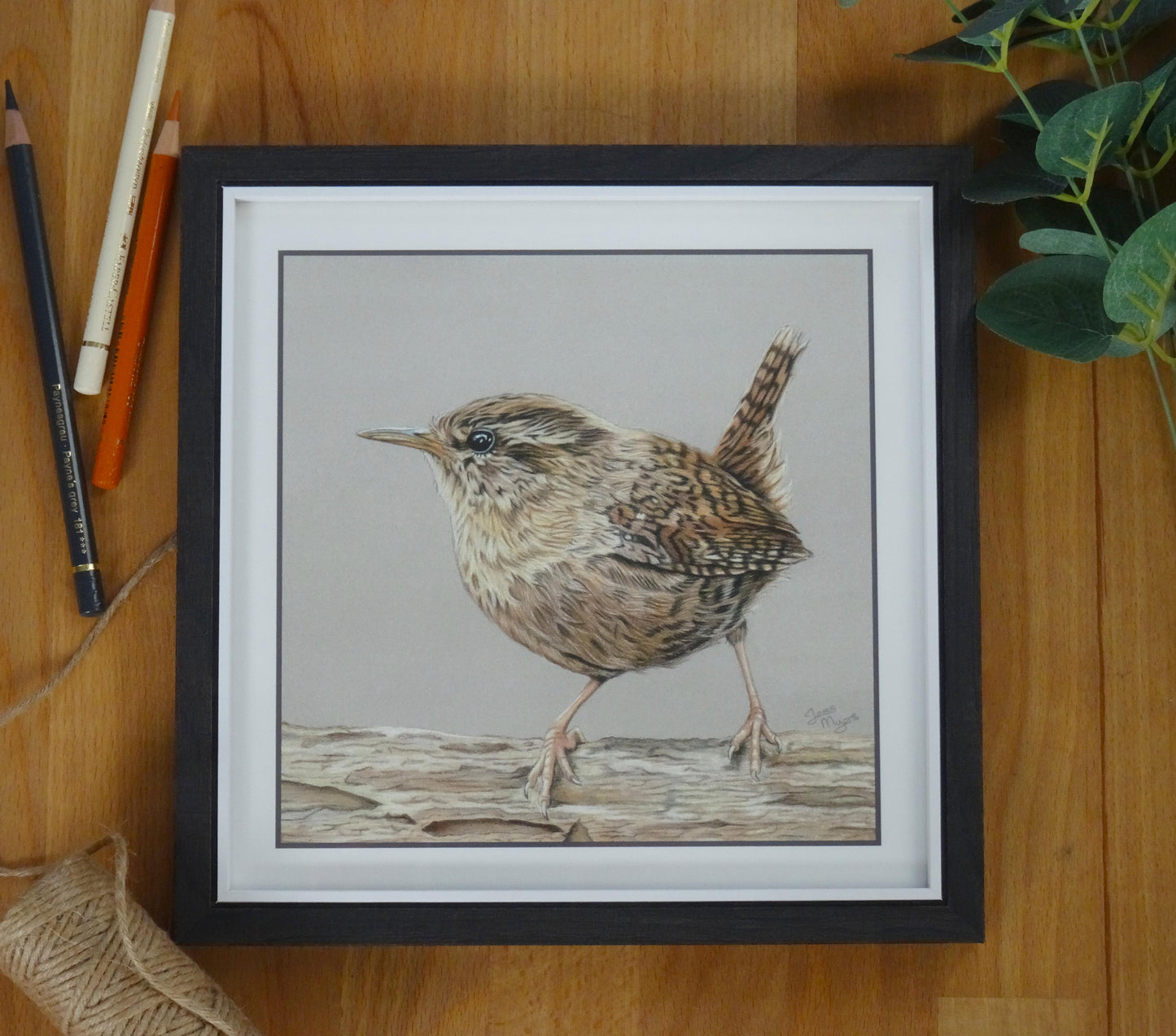 Small Jenny Wren Print