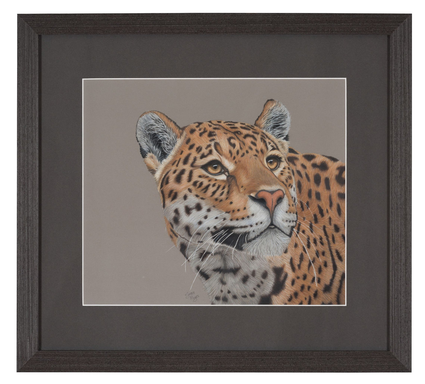 Original "Amber Eyed Jaguar" Pencil Drawing