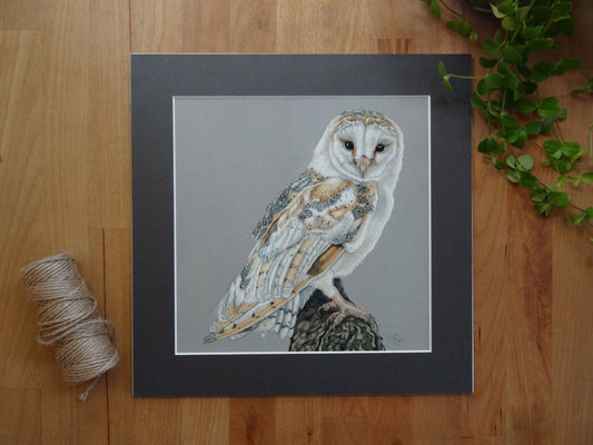 Large "Barn Owl" Giclée Print