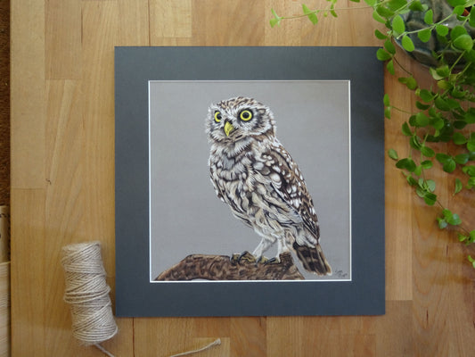 Large "Little Owl" Giclée Print
