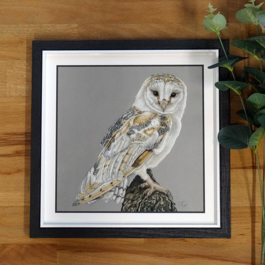 Small "Barn Owl" Print