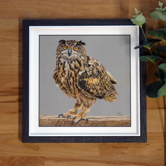 Small "Eurasian Eagle Owl" Print