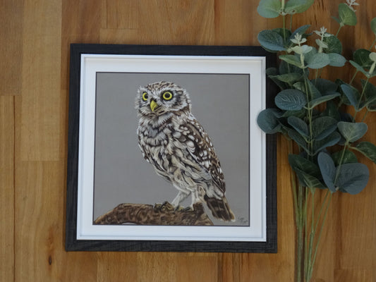 Small "Little Owl" Print