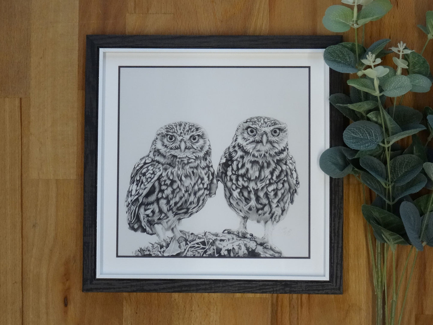 Small "Indignant" Owl Print