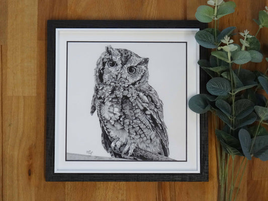 Small "Ruffled Feathers" Owl Print