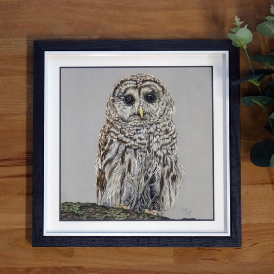 Small "Tawny Owl" Print